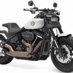 harley-davidson-fat-bob_Flying_Dog
