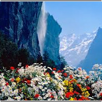 dovolenka na karavane